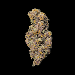 Carolina Bloom Prerolls (3.5g, 7 Pre-rolls)